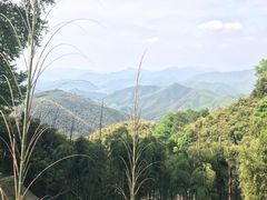 -莫干山风景区