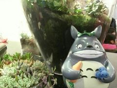 android_upload_pic-妈妈的味道(工人体育场东路店)