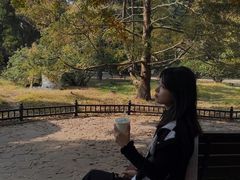 -八大关景区