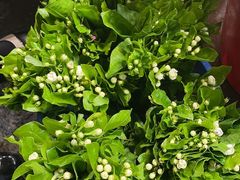 -循礼门鲜花花市(武汉循礼门店)