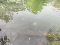 -浙江西子宾馆·瑶园咖啡厅