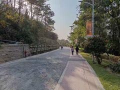 -仙岳公园