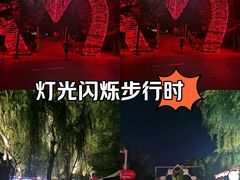 -长白岛森林公园