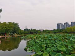-太阳宫公园