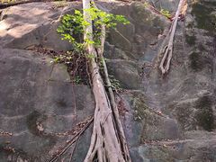 -乌山风景区