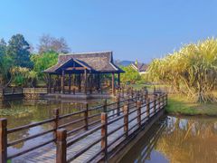 -中国科学院西双版纳热带植物园