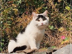 -中国第四纪冰川遗迹陈列馆