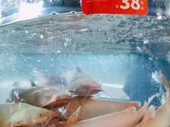 -蜀滋香鲜鱼美蛙火锅(339店)