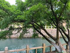 -大罗山风景区