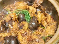 -食爺炭炉鸡煲·烧烤
