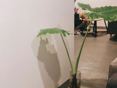 -微饮cafe