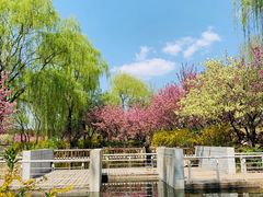 -石家庄市植物园