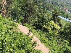-青龙山国家森林公园