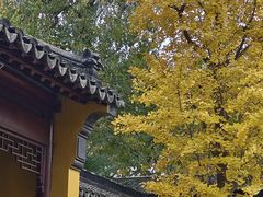 -西园戒幢律寺
