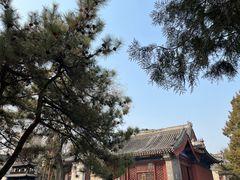 -白云观