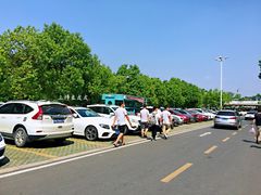 场地-东湖磨山景区樱花园-停车场