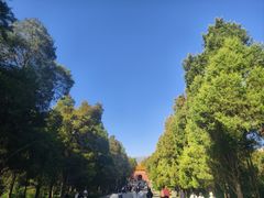 -灵谷景区