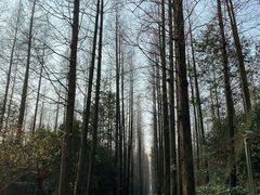 -上海怡沁园度假酒店