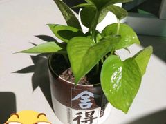-喝丢一只鞋海鲜烧烤·海肠捞饭(市场店)