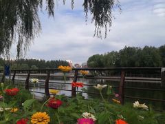 -长春公园(普阳街道)