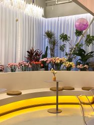 -韩芙莱芳疗spa健康管理