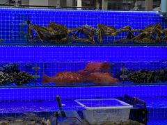 -三旗百汇商品城