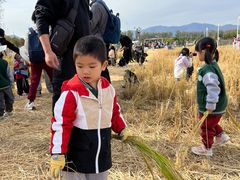 -北京市邮政管理局海慧寺幼儿园