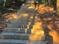 -梧桐山风景名胜区