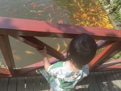 -武汉紫薇都市田园