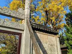 -苏州文庙(姑苏区)