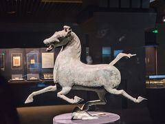 -甘肃省博物馆