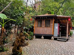 -天门沟九州驿站树上汤泉