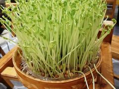 -廣順興(天明路店)