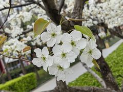 -木塔寺遗址生态公园