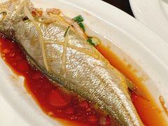 -京香轩·中餐厅(上海中庚聚龙酒店)