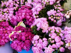 -循礼门鲜花花市(武汉循礼门店)