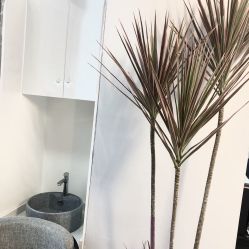 点击看大图 -KIMI HAIR SALON·烫染设计店