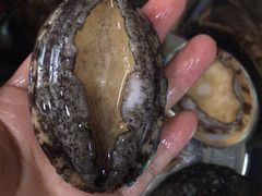 -渔人湾码头海鲜市场负二楼