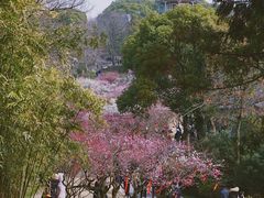 -无锡梅园公园