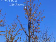 -祥源·阜阳生态乐园