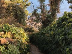 -龙头岩(Dragon Head Rock)