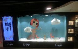 糖果指甲造型(国瑞城店)-光SPA科技美肤