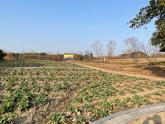 -同里国家湿地公园