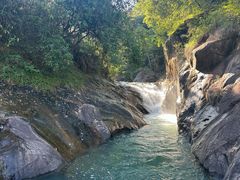 -广州白江湖森林公园