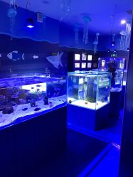 -七巧国萌宠乐园(龙湖天街店)