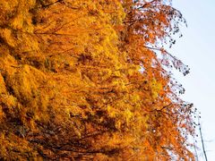 -南京市无想山景区