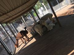 景点-长白岛森林公园