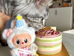 -布歌东京(常州购物中心店)