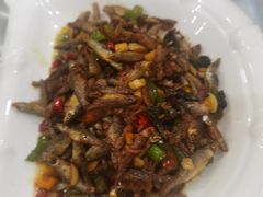 -来韶饭店
