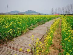-西海岸生态观光园